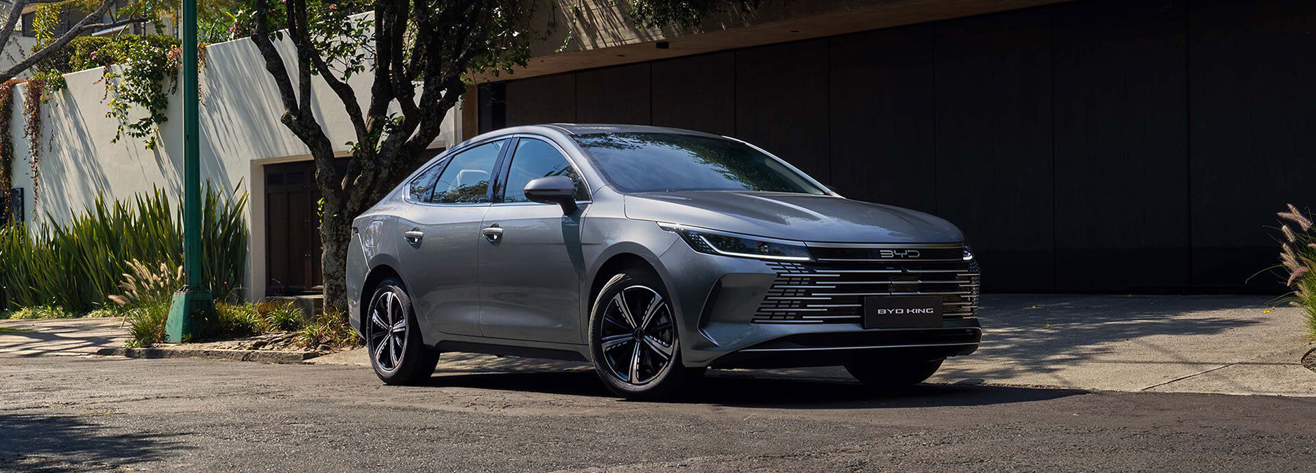 BYD KING DM-I